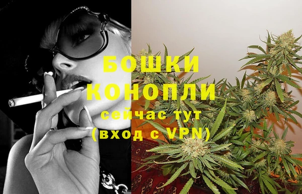 ПСИЛОЦИБИНОВЫЕ ГРИБЫ Горно-Алтайск