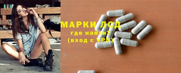 ПСИЛОЦИБИНОВЫЕ ГРИБЫ Горно-Алтайск