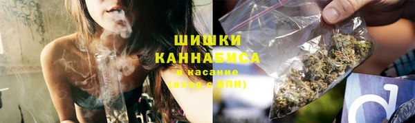 мдпв Горнозаводск