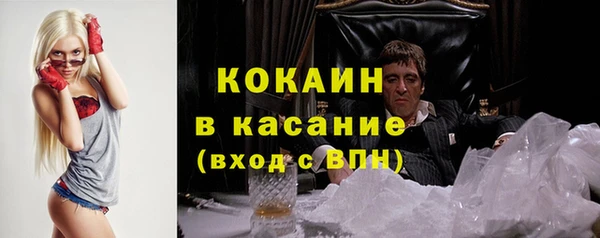 мдпв Горнозаводск