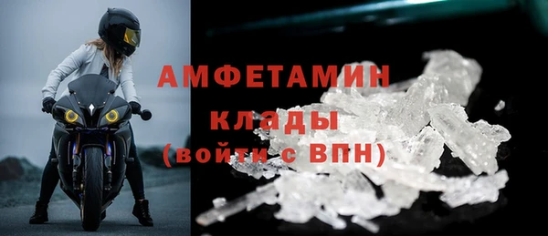 ПСИЛОЦИБИНОВЫЕ ГРИБЫ Горно-Алтайск