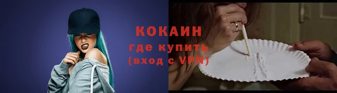ПСИЛОЦИБИНОВЫЕ ГРИБЫ Горно-Алтайск