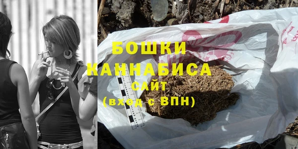 ПСИЛОЦИБИНОВЫЕ ГРИБЫ Горно-Алтайск