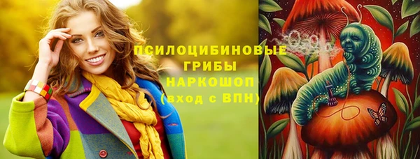 мдпв Горнозаводск