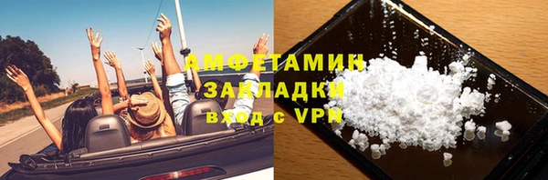 ПСИЛОЦИБИНОВЫЕ ГРИБЫ Горно-Алтайск