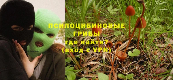 ПСИЛОЦИБИНОВЫЕ ГРИБЫ Горно-Алтайск