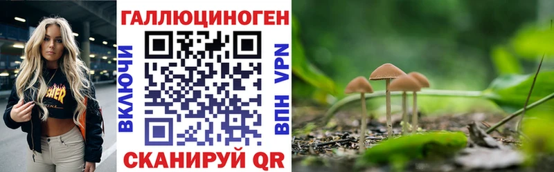 Купить  Кыштым  Галлюциногенные грибы ЛСД 